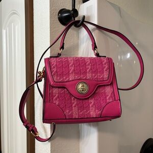 Aldo Vibrant Pink Mini Bag